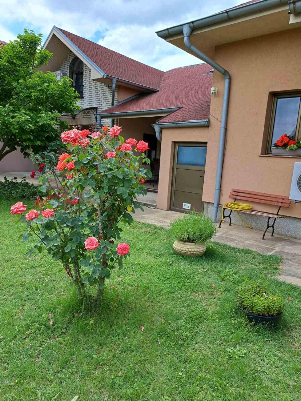 Villa Nena クラドヴォ エクステリア 写真